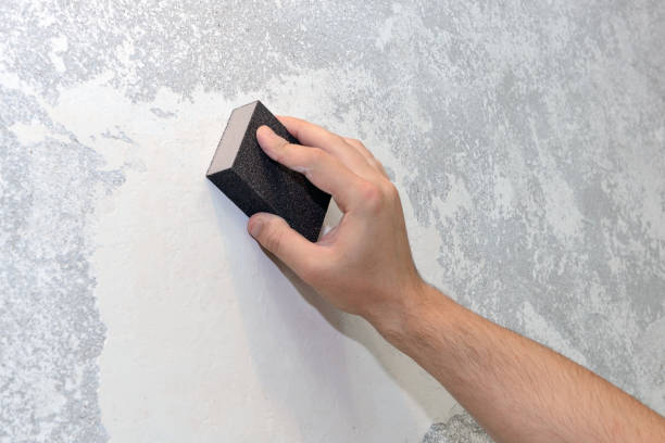 Best Black Mold Removal  in Florence, AL