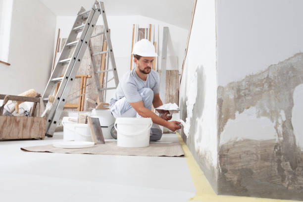 Best Mold Removal for HVAC Installations  in Florence, AL