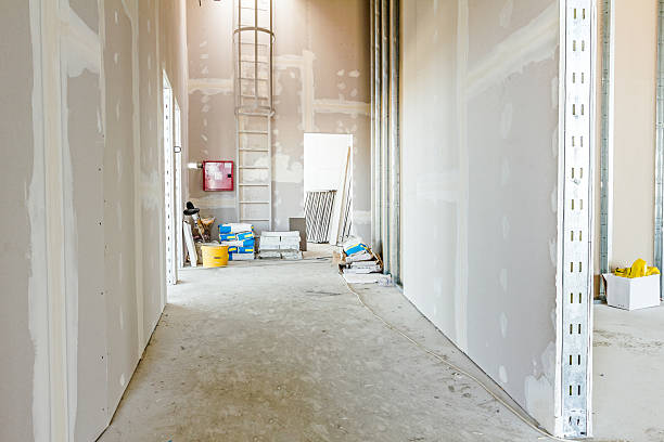 Best Post-Construction Mold Inspection  in Florence, AL